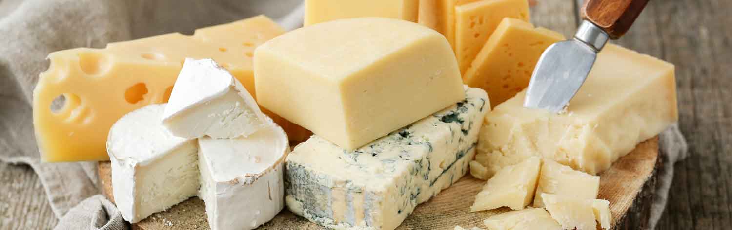 Hundreds of Cumbria Homes to be Powered by Cheese - Simply Switch